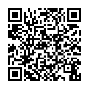 就是不知道国内现在有几个职业选手打上韩服王者了二维码生成