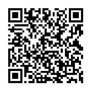 就是不知道这三个自称守护者的家伙指的是什么二维码生成