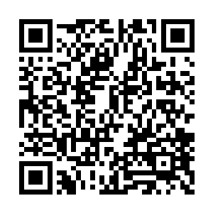 就是不知道这些大蝙蝠是袭击的另一个大角鹿群二维码生成