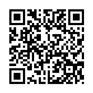 就是专司背后保护蓝苒首领的刺客组织二维码生成