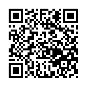 就是专门负责接待刚刚飞升上来的仙人二维码生成