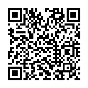 就是东村的刘媒婆给你说了一个他们村的一个小女娃娃二维码生成