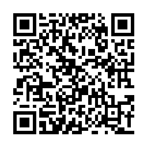 就是两个月前被你从丹师协会带走的那个小伙子二维码生成