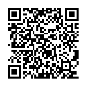 就是为了不给自己与这两大长老私下商量的机会二维码生成