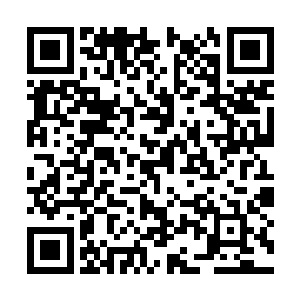 就是为了回答那个终极问题我们为什么要创造自己二维码生成