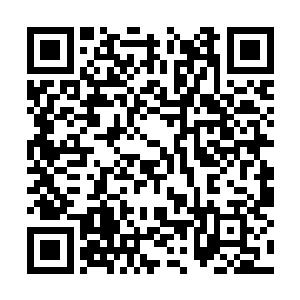 就是为了研究黑墙制造者的遗迹和洪潮军团的俘虏二维码生成