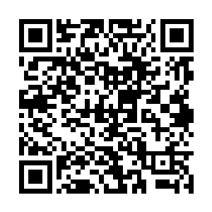 就是为了让他们飞禽一族的传承更加的稳固一些的二维码生成