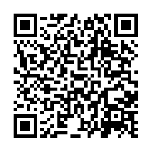 就是为了让他提前感受下圣地的繁荣富饶和弟子们的强大二维码生成