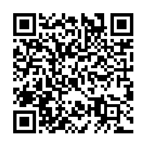 就是为了让自己有机会嫁到龙国去的……安朗新娘二维码生成