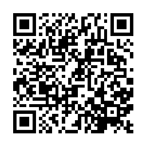 就是为了避免以后南南要她帮忙穿衣的时候自己不会二维码生成