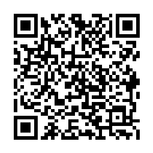 就是之前选择把他领走的某位仙人对他不太满意二维码生成