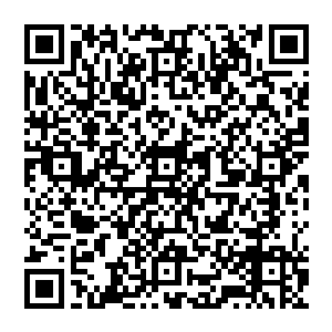 就是之前陪着小加藤君去往梦幻城又在那满是返古建筑的街道上被小加藤君踩碎膝盖骨的女人二维码生成