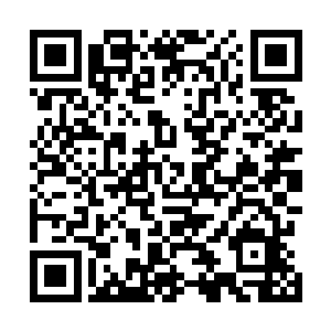 就是乘坐的乘客们也在那海盗倾斜而下之时愤怒得咆哮着二维码生成