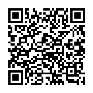 就是书里面楚旬他们在楚城时候遇到的那个大蜘蛛的蓝本二维码生成