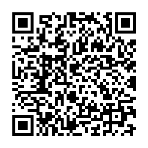 就是从近千人的储物袋中得到的战利品再加上许紫烟这些日子制作出来的符箓二维码生成