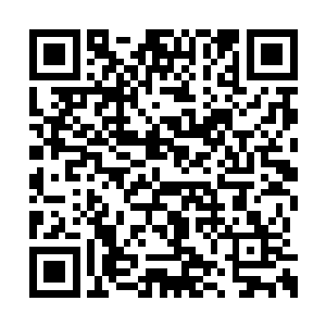 就是他和贾靓儿两人在识海中争夺身体的控制权二维码生成