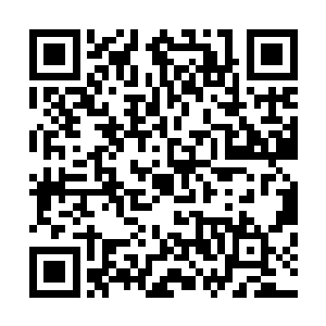 就是传说中一件可以推算世间万物一切过去未来的无上道兵二维码生成