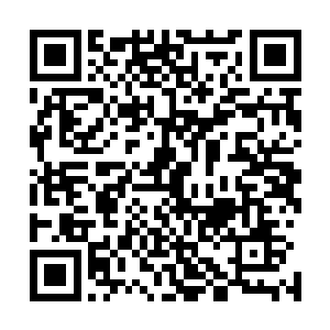 就是你在我跟卓景的媒体见面会上被我戳穿是双性人的样子二维码生成