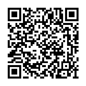 就是修复这些损失的隐性要素的超级珍贵的存在二维码生成