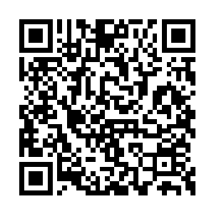 就是傻子也知道这次的符箓要比上次的威力更强二维码生成