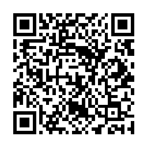 就是傻子都知道另外几个也拥有大战小乘境法主的水平二维码生成