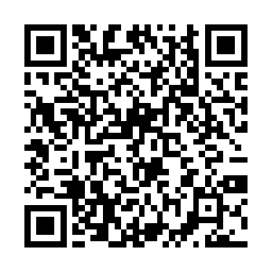 就是其他修士想要问问古原这么认识的许紫烟都不敢二维码生成