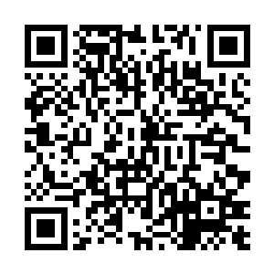 就是冰梦和周围围观的其他仙人和冰人也是惊哗了起来~二维码生成