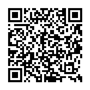 就是刚刚羞辱白芷璃最凶的那个将军女儿陆雨萱二维码生成