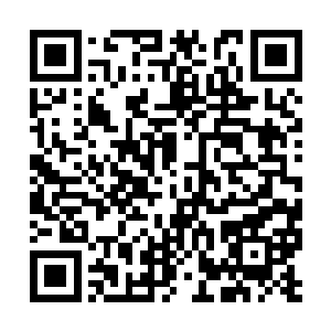 就是前几天因配制出生白骨的断续膏的那个女孩子二维码生成