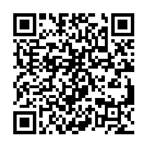 就是剔除了仙力属于自己特有的绝大部分力量的也行二维码生成