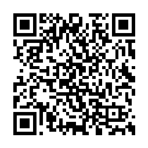 就是剧中男主角周阿牛的爸爸妈妈之间的一段戏二维码生成