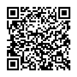 就是化神后期的修士一人都无法抵抗一个妖修的二维码生成