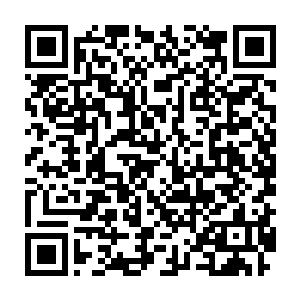 就是千万年前为了躲避洪潮侵袭而仓皇逃窜到这里的元始族超级战舰二维码生成
