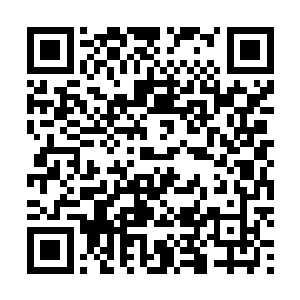 就是千夜自己也在一次一次刷新着对那位狼人伯爵的认识二维码生成