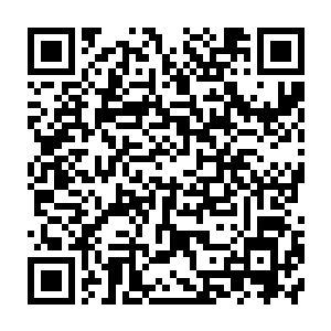 就是半步圣级的剑无虚和土依水在这十八个圣级大修士面前也是案板上的肉二维码生成