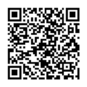 就是华国玄学界之中的手印手诀在忍者传承之中的称呼二维码生成