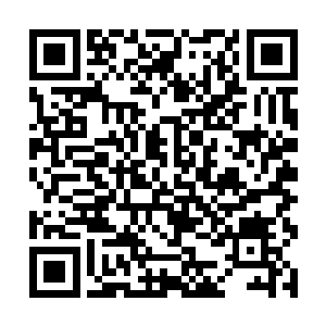 就是去海大报名参加这周即将举行的海大秋季运动会二维码生成