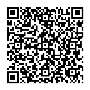 就是可以让她怀的孩子在最大程度上从孩子的父亲那里继承遗传到强大血脉的基因二维码生成