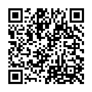 就是右手的碎骨用虚气复原恐怕就要一周的时间二维码生成