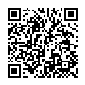 就是司空无畏和赵非追问了几次苗毅究竟去哪了二维码生成