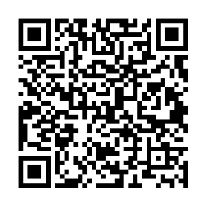 就是吴岩将会如何对待这招募的七八十名苦工弟子二维码生成