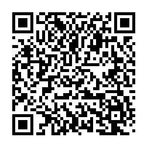 就是嚣张的星族族长此时也不敢保证接下来的危险他们能够安然度过二维码生成