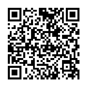 就是四年前参加天下第一武道大会的时候被星探发觉二维码生成