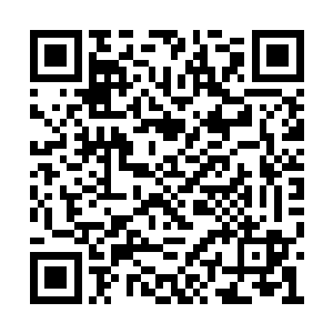就是因为他的年龄实在不象是能做出这样事的人二维码生成
