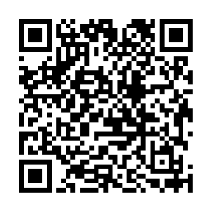 就是因为他看中了闻人家族严谨扎实密不透风的安保能力二维码生成