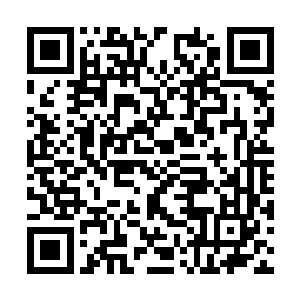 就是因为坐在那个位置上的皇帝不会允许后族坐大二维码生成