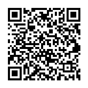 就是因为太白道君的身损对他的震动实在是太大二维码生成