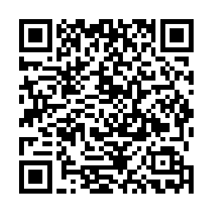 就是因为忌惮铭古纪时曾经震慑三千世界的太和初开剑阵二维码生成