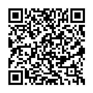 就是因为新党实在是用以扩张君权的一个好工具二维码生成