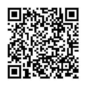 就是因为有你们这种被人骑在头顶上拉屎还不敢追究的废物蠢货二维码生成